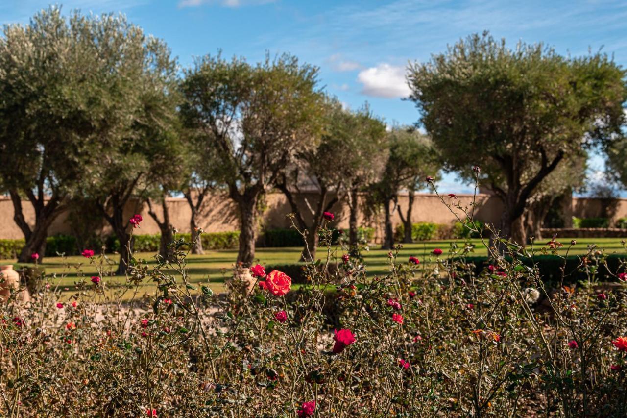 Le Palais Paysan Bed & Breakfast Marrakesh Exterior photo