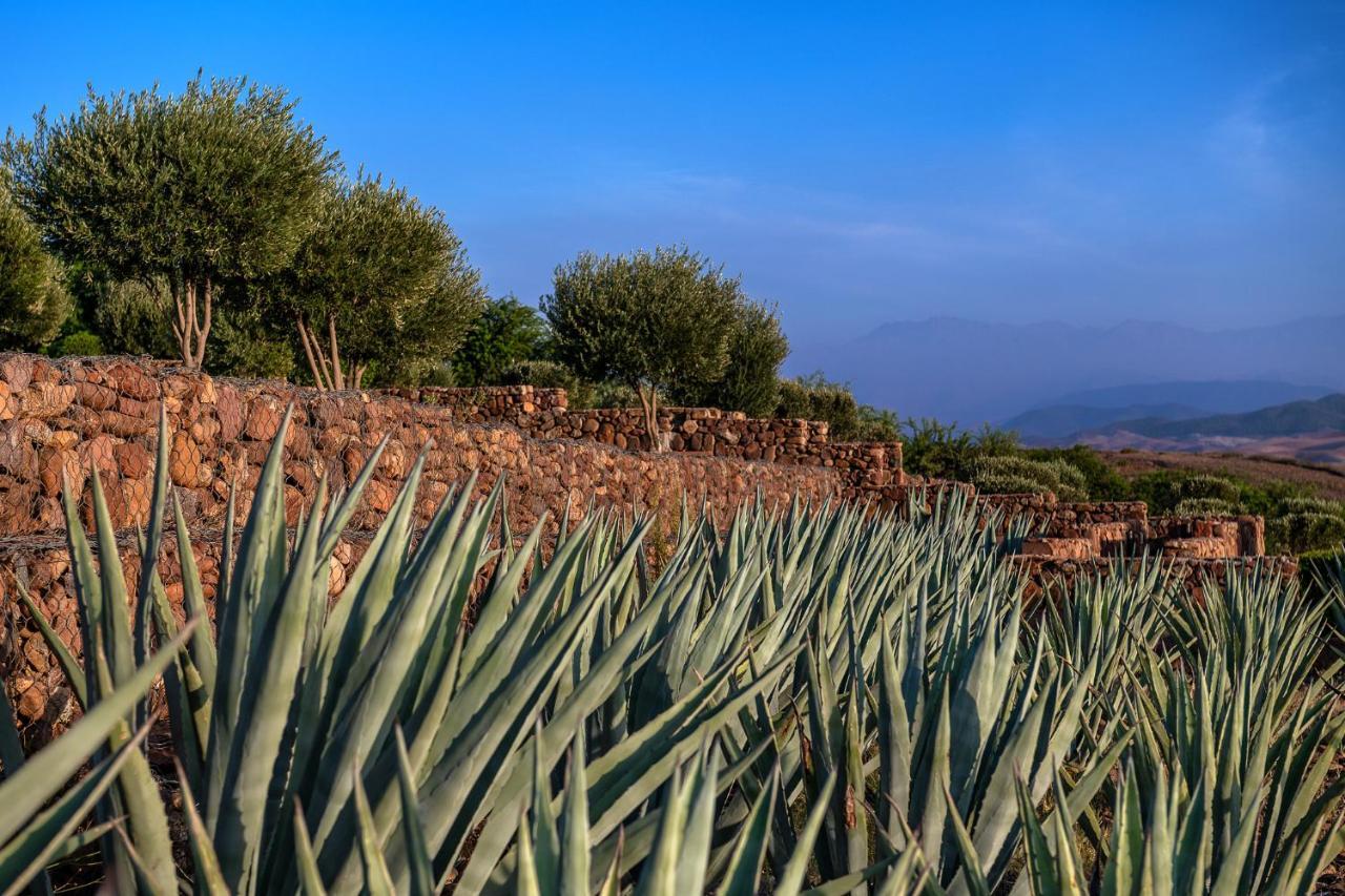 Le Palais Paysan Bed & Breakfast Marrakesh Exterior photo
