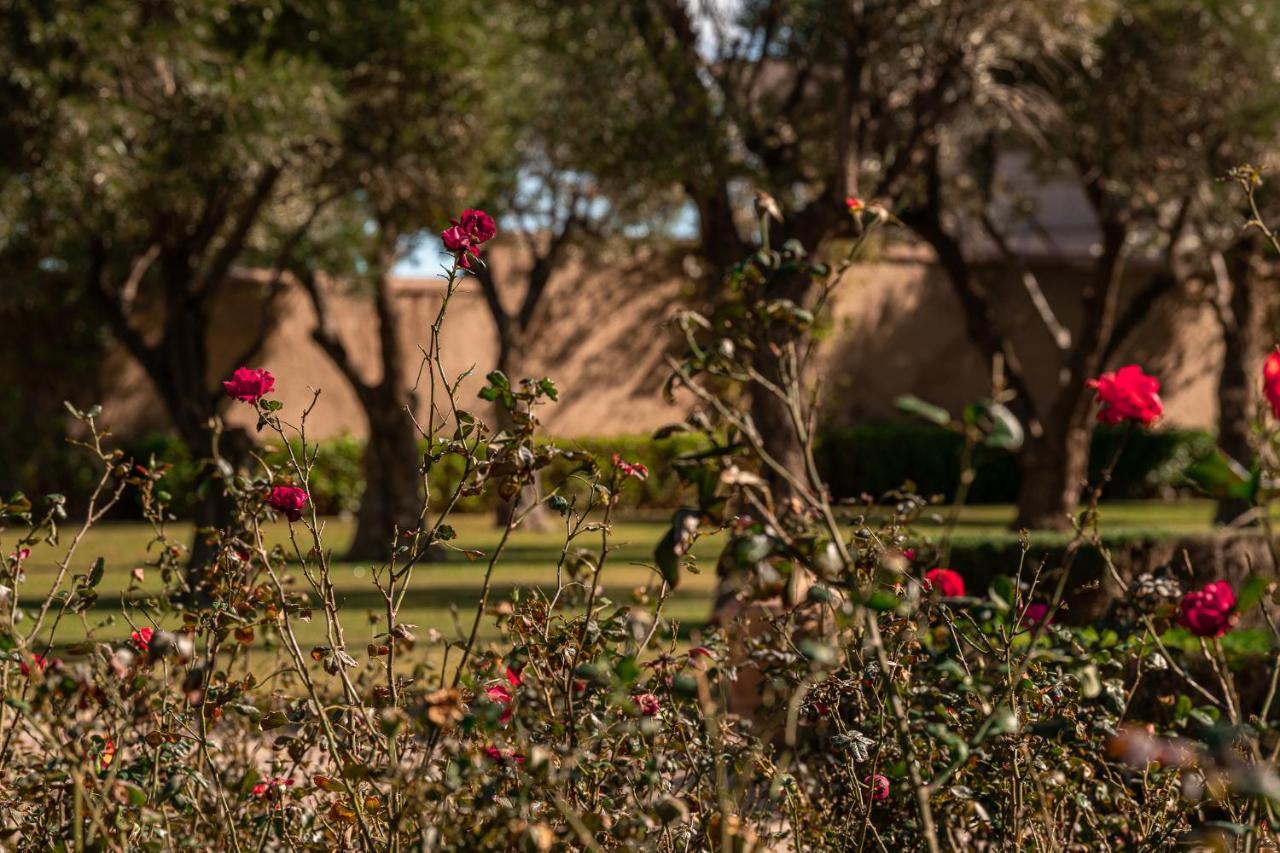 Le Palais Paysan Bed & Breakfast Marrakesh Exterior photo
